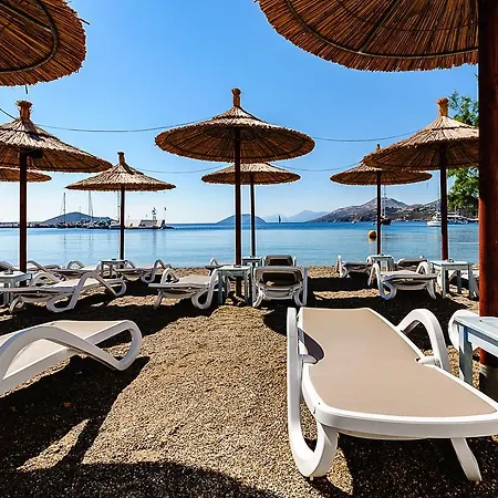 Vangelis Apartament